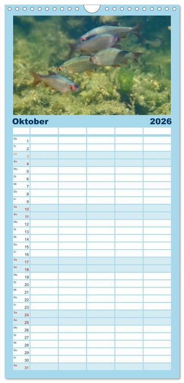 Produktbild: Familienplaner 2026 - Faszination Fische mit 5 Spalten (Wandkalender, 21 x 45 cm) CALVENDO
