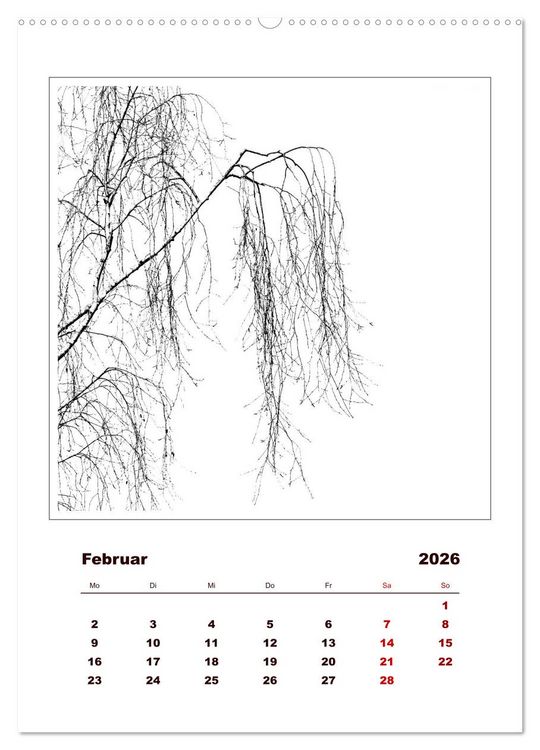 Produktbild: LignoGrafica - Muster und Strukturen der B&auml;ume (Wandkalender 2026 DIN A2 hoch), CALVENDO Monatskalender