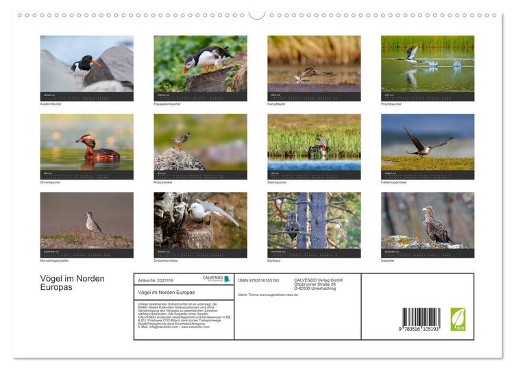 Produktbild: V&ouml;gel im Norden Europas (hochwertiger Premium Wandkalender 2026 DIN A2 quer), Kunstdruck in Hochglanz