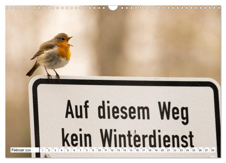 Produktbild: Geliebtes Rotkehlchen (Wandkalender 2026 DIN A3 quer), CALVENDO Monatskalender