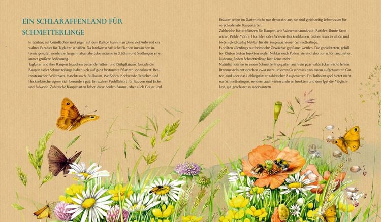Produktbild: Schmetterling, Hummel und Maik&auml;fer