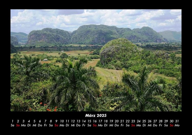 Produktbild: B&auml;ume 2025 Fotokalender DIN A3