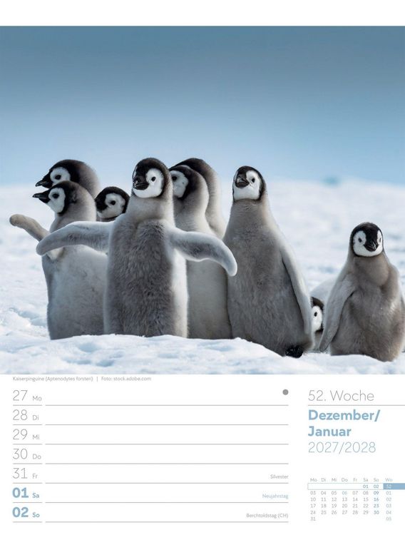 Produktbild: V&ouml;gel Wochenplaner Kalender 2027