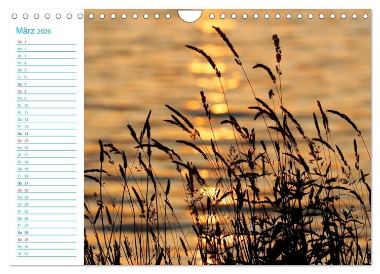 Produktbild: Urlaubsparadies Scharm&uuml;tzelsee (Wandkalender 2026 DIN A4 quer), CALVENDO Monatskalender