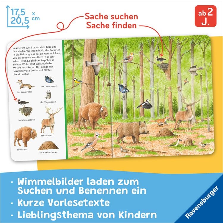 Produktbild: Sachen suchen - Tiere im Wald