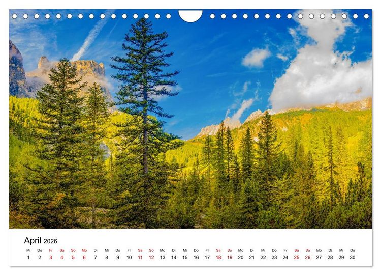 Produktbild: W&auml;lder: die letzte Zuflucht f&uuml;r die Wildnis (Wandkalender 2026 DIN A4 quer), CALVENDO Monatskalender