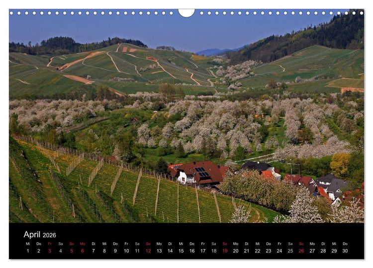 Produktbild: Mein Ortenaukalender 2026 (Wandkalender 2026 DIN A3 quer), CALVENDO Monatskalender