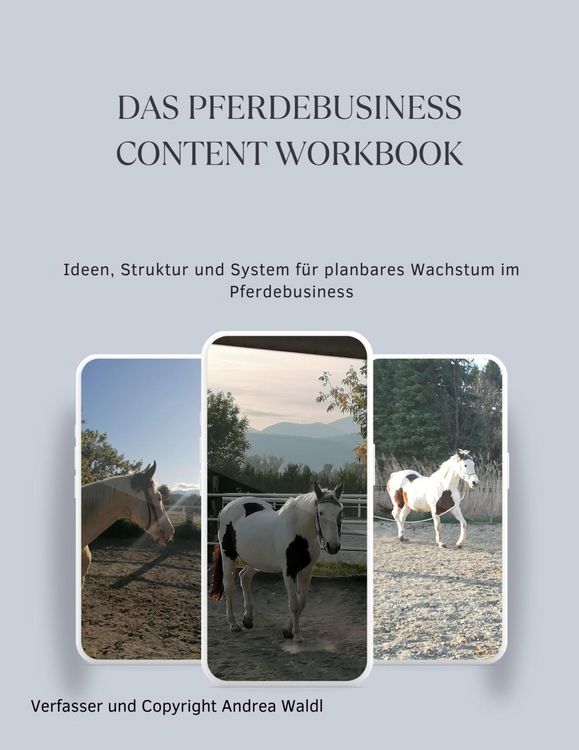 Produktbild: Das Pferdebusiness Content Workbook