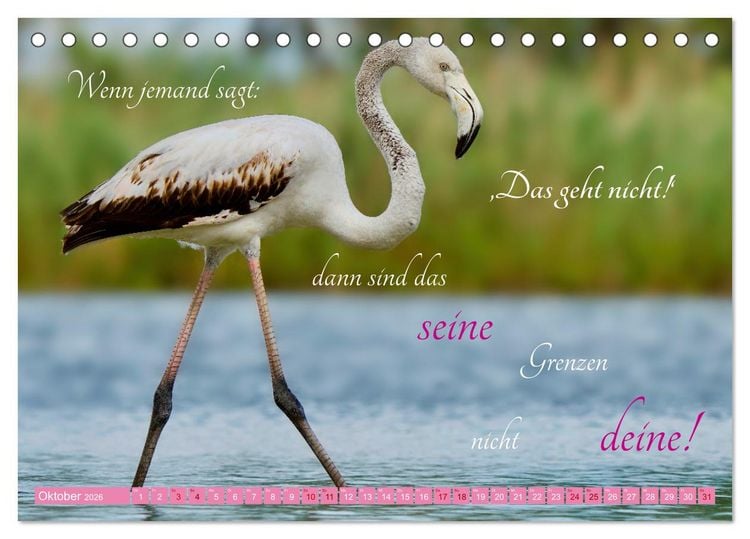 Produktbild: The Power Of Pink (Tischkalender 2026 DIN A5 quer), CALVENDO Monatskalender