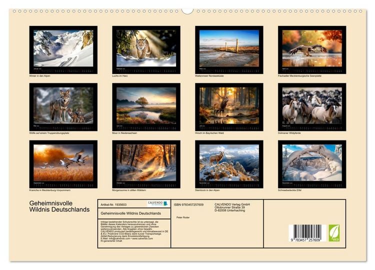Produktbild: Geheimnisvolle Wildnis Deutschlands (hochwertiger Premium Wandkalender 2026 DIN A2 quer), Kunstdruck in Hochglanz