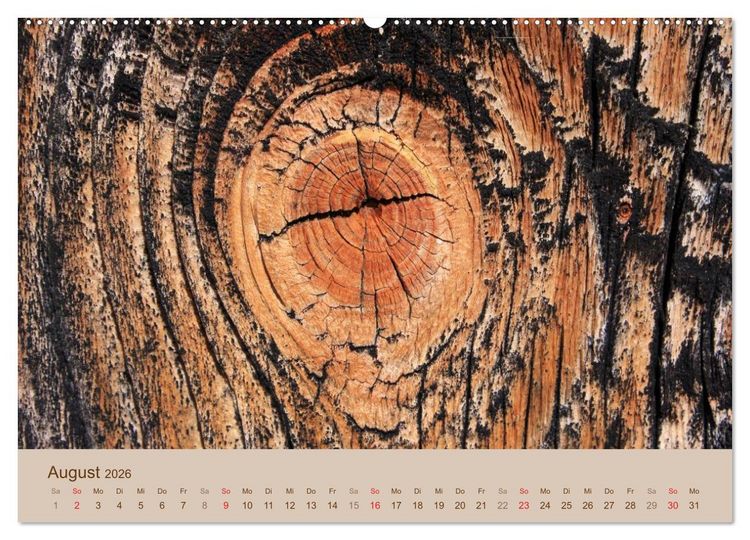 Produktbild: Farben des Holzes (hochwertiger Premium Wandkalender 2026 DIN A2 quer), Kunstdruck in Hochglanz