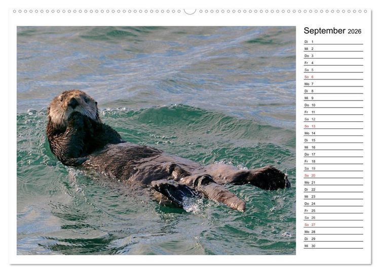 Produktbild: Alaskas Tierwelt - Paradies im Norden (Wandkalender 2026 DIN A2 quer), CALVENDO Monatskalender