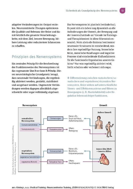 Produktbild: Medical Training: Neurozentriertes Training