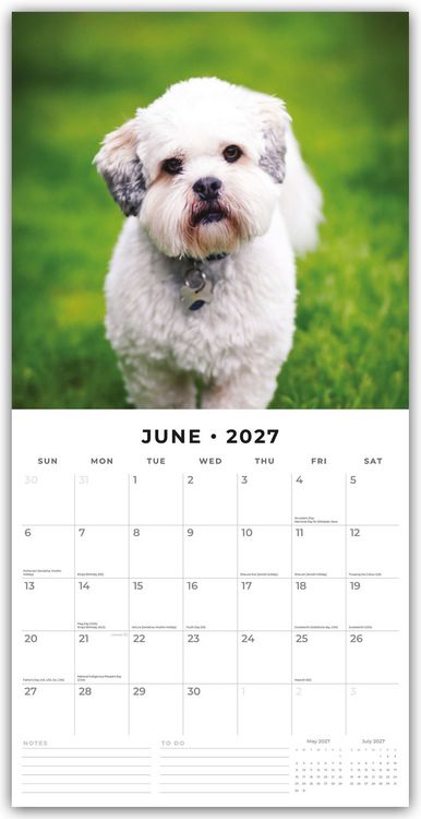 Produktbild: Lhasa Apsos &ndash; Lhasa Apso 2027 &ndash; 16-Monatskalender