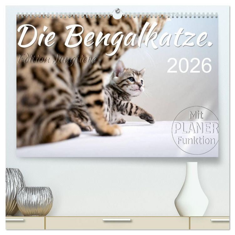 Produktbild: Die Bengalkatze. Edition Jungtiere (hochwertiger Premium Wandkalender 2026 DIN A2 quer), Kunstdruck in Hochglanz
