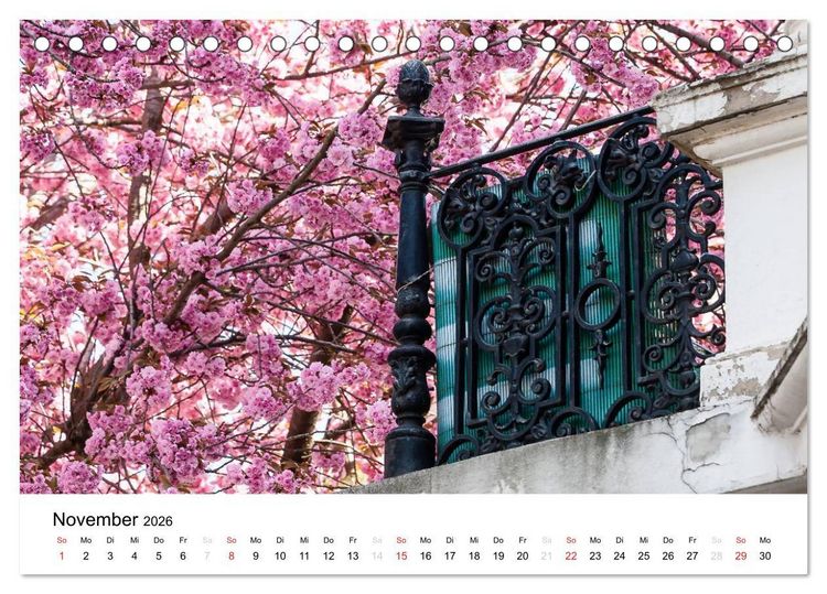 Produktbild: Bonn - Kirschbl&uuml;tenfest in der Altstadt (Tischkalender 2026 DIN A5 quer), CALVENDO Monatskalender
