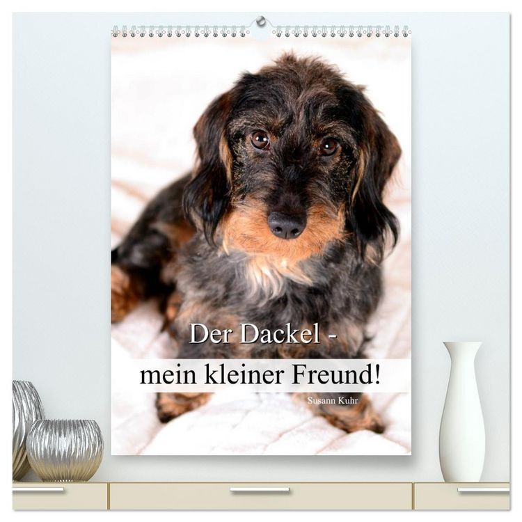Produktbild: Der Dackel - mein kleiner Freund (hochwertiger Premium Wandkalender 2026 DIN A2 hoch), Kunstdruck in Hochglanz