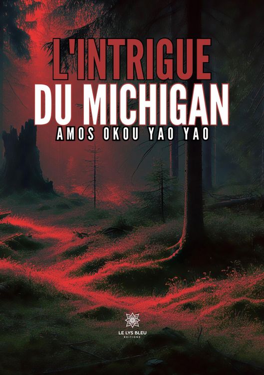 Produktbild: L'intrigue du Michigan