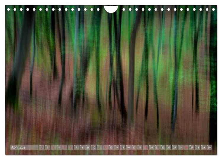 Produktbild: Atelier Wald - gemalt mit Licht (Wandkalender 2026 DIN A4 quer), CALVENDO Monatskalender
