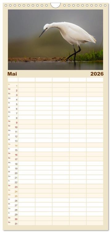 Produktbild: Familienplaner 2026 - S&uuml;dafrika wunderbare Tierwelt mit 5 Spalten (Wandkalender, 21 x 45 cm) CALVENDO