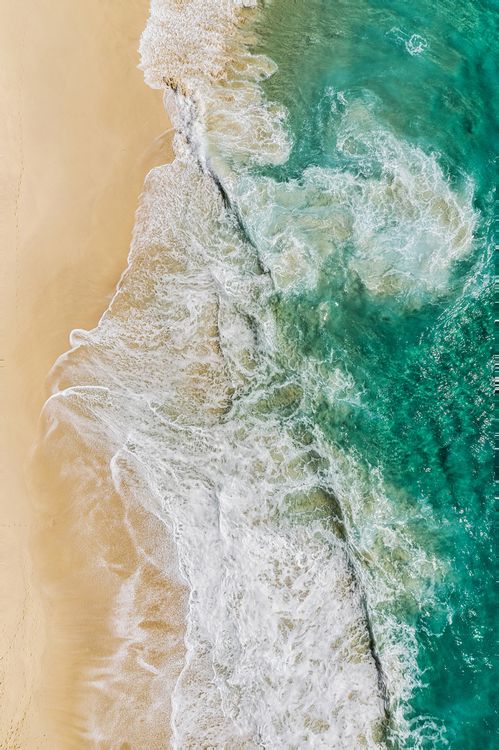 Produktbild: Tropics & Traditions