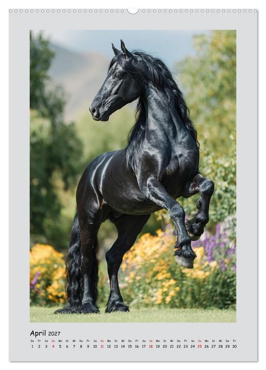 Produktbild: Friesenpferde. Schwarze Eleganz in der Natur (hochwertiger Premium Wandkalender 2027 DIN A2 hoch), Kunstdruck in Hochglanz