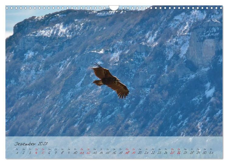 Produktbild: Wildes S&uuml;dfrankreich (Wandkalender 2027 DIN A3 quer), CALVENDO Monatskalender