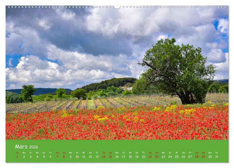 Produktbild: Quer durch S&uuml;dfrankreich (hochwertiger Premium Wandkalender 2026 DIN A2 quer), Kunstdruck in Hochglanz
