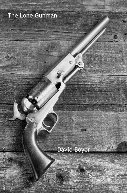 Produktbild: The Lone Gunman