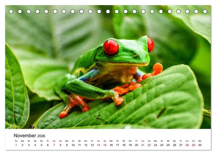 Produktbild: Costa Rica - das Naturparadies (Tischkalender 2026 DIN A5 quer), CALVENDO Monatskalender