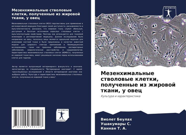 Produktbild: Mezenhimal'nye stwolowye kletki, poluchennye iz zhirowoj tkani, u owec