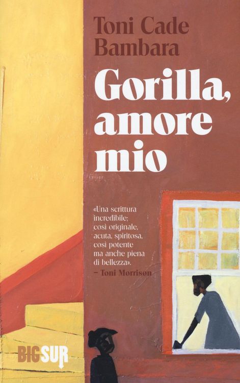 Produktbild: Gorilla, amore mio