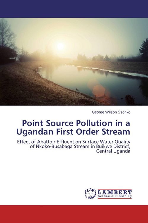 Produktbild: Point Source Pollution in a Ugandan First Order Stream
