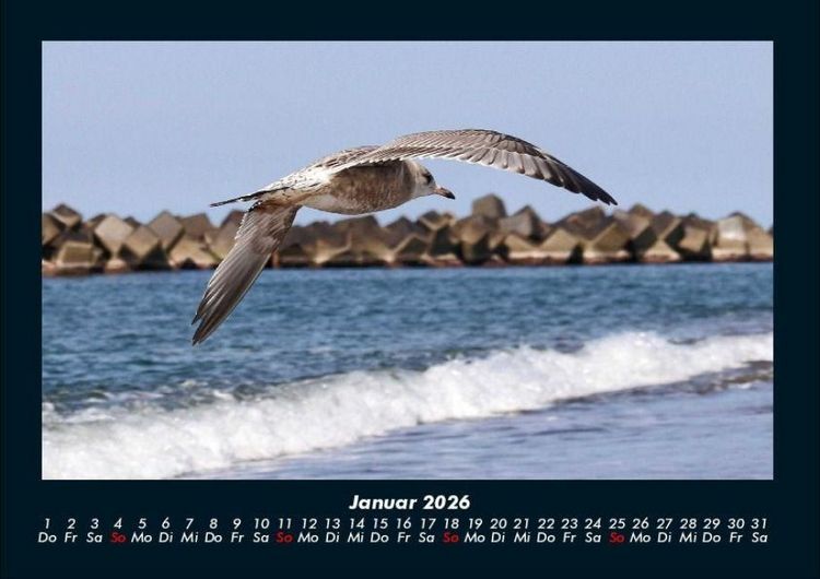 Produktbild: Meereslandschaft 2026 Fotokalender DIN A4