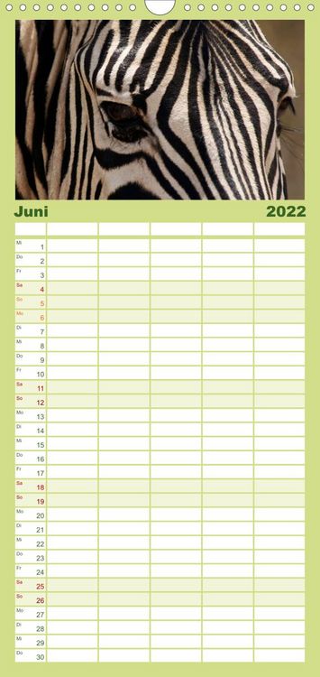 Produktbild: Familienplaner Zebras - Faszination der Wildnis (Wandkalender 2022 , 21 cm x 45 cm, hoch)