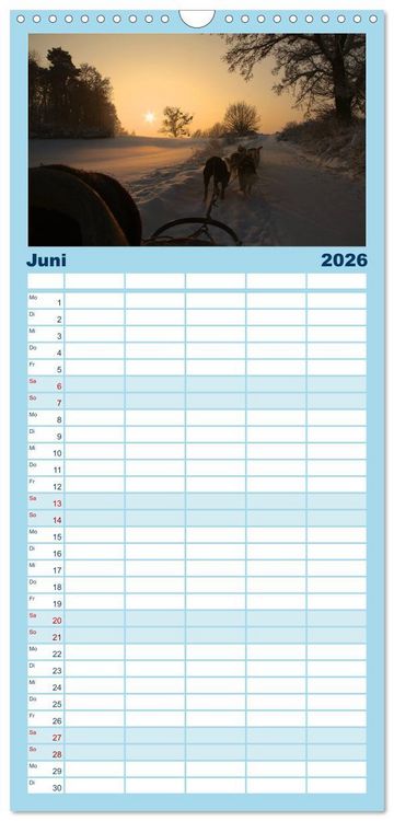 Produktbild: Familienplaner 2026 - Huskies! mit 5 Spalten (Wandkalender, 21 x 45 cm) CALVENDO