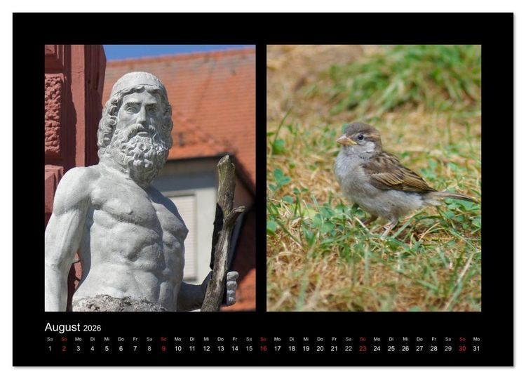 Produktbild: Ulmer Spatzen (hochwertiger Premium Wandkalender 2026 DIN A2 quer), Kunstdruck in Hochglanz