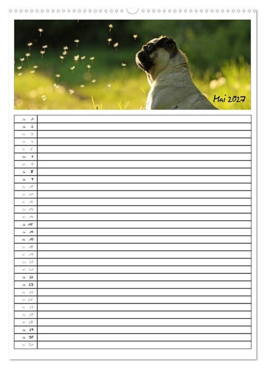 Produktbild: Der mopsige Familienplaner (Wandkalender 2027 DIN A2 hoch), CALVENDO Monatskalender