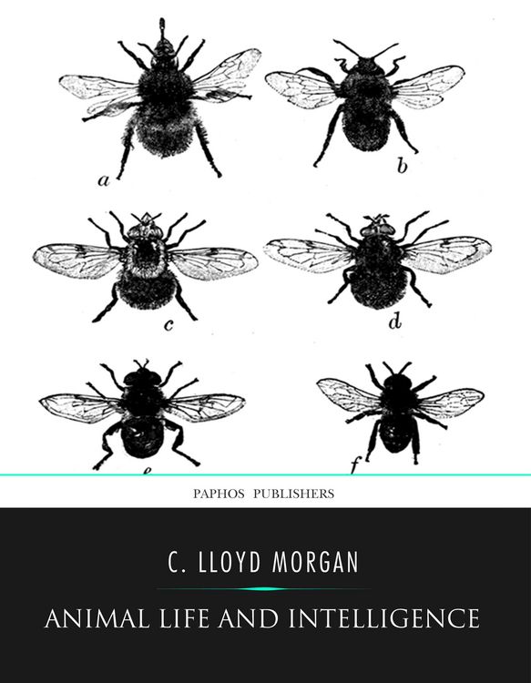 Produktbild: Animal Life and Intelligence