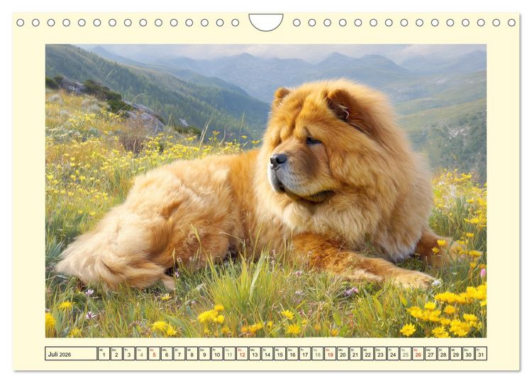 Produktbild: Chow Chow Momente. Fellpoesie aus dem Reich der Mitte (Wandkalender 2026 DIN A4 quer), CALVENDO Monatskalender