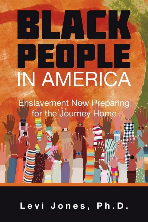 Produktbild: Black People in America