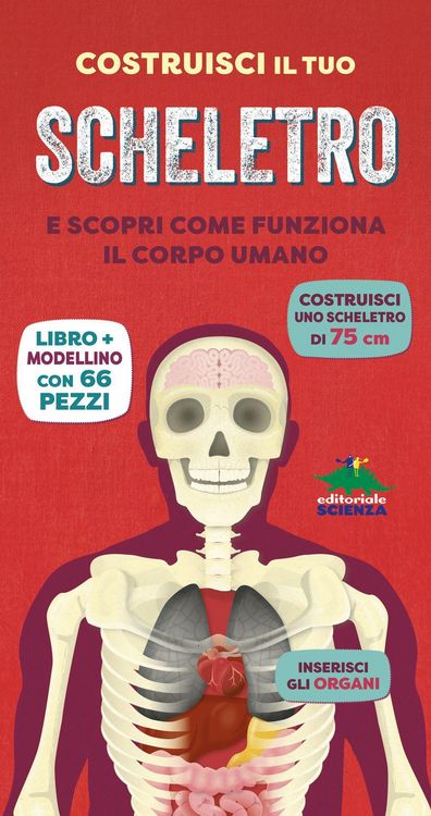 Produktbild: Costruisci il tuo scheletro e scopri come funziona il corpo umano