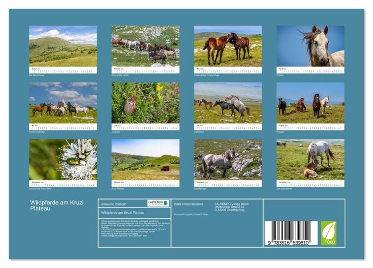 Produktbild: Wildpferde am Kruzi Plateau (Wandkalender 2026 DIN A4 quer), CALVENDO Monatskalender