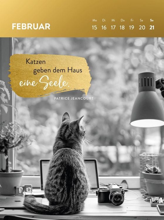 Produktbild: Wochenkalender 2027: Goldene Katzenweisheiten f&uuml;r jeden Tag