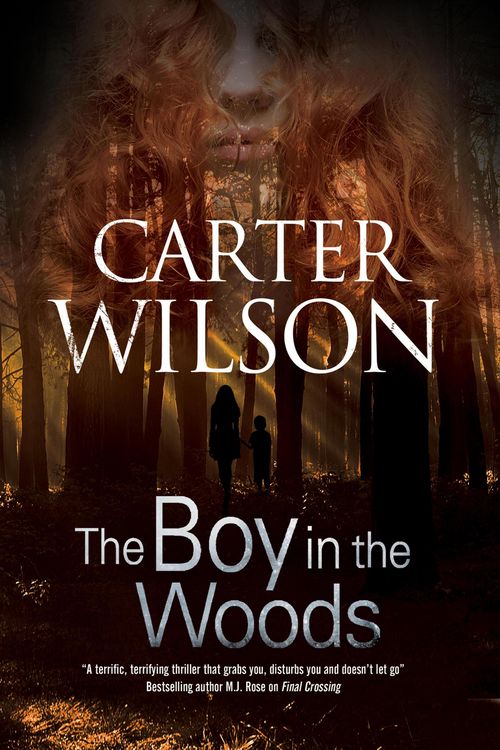 Produktbild: The Boy in the Woods