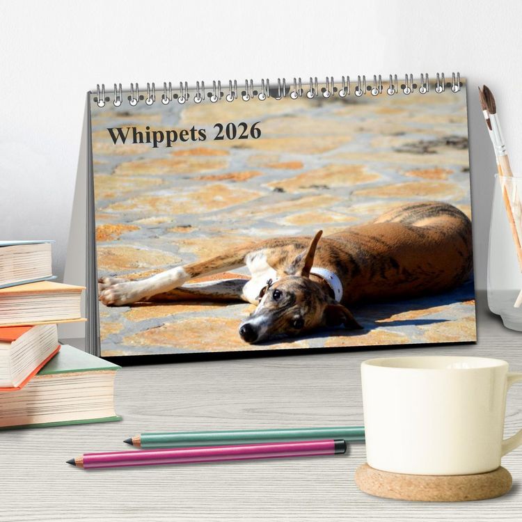 Produktbild: Whippet 2026 (Tischkalender 2026 DIN A5 quer), CALVENDO Monatskalender
