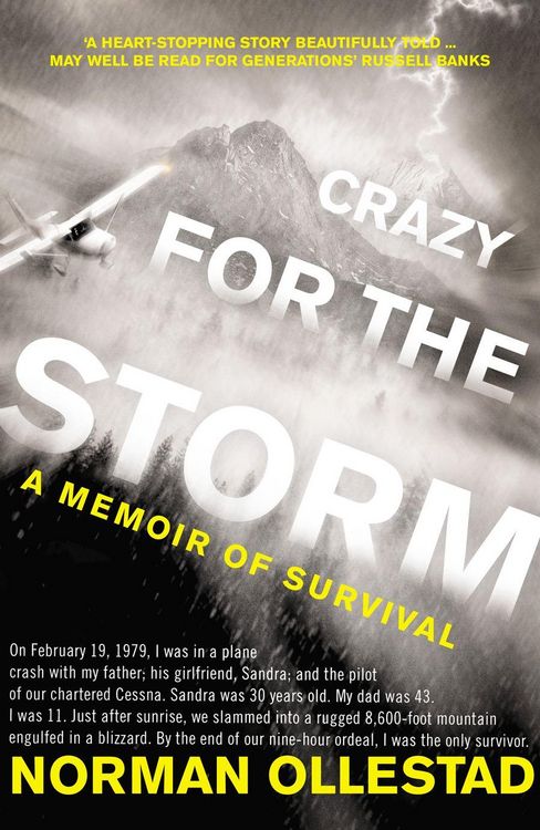 Produktbild: Crazy for the Storm