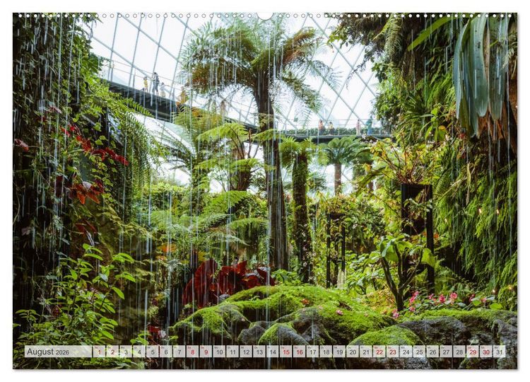 Produktbild: W&auml;lder der Welt (hochwertiger Premium Wandkalender 2026 DIN A2 quer), Kunstdruck in Hochglanz