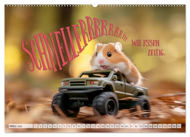 Produktbild: Hamsterhumor - Kleine Zuckerschnute, aber oho (hochwertiger Premium Wandkalender 2026 DIN A2 quer), Kunstdruck in Hochglanz