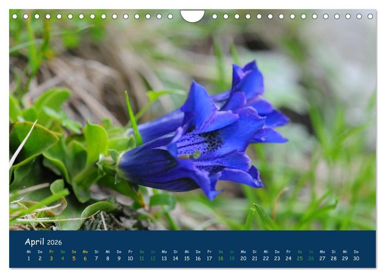Produktbild: Bergwelt Hohe Tauern - Wandergenuss in alpiner Landschaft (Wandkalender 2026 DIN A4 quer), CALVENDO Monatskalender